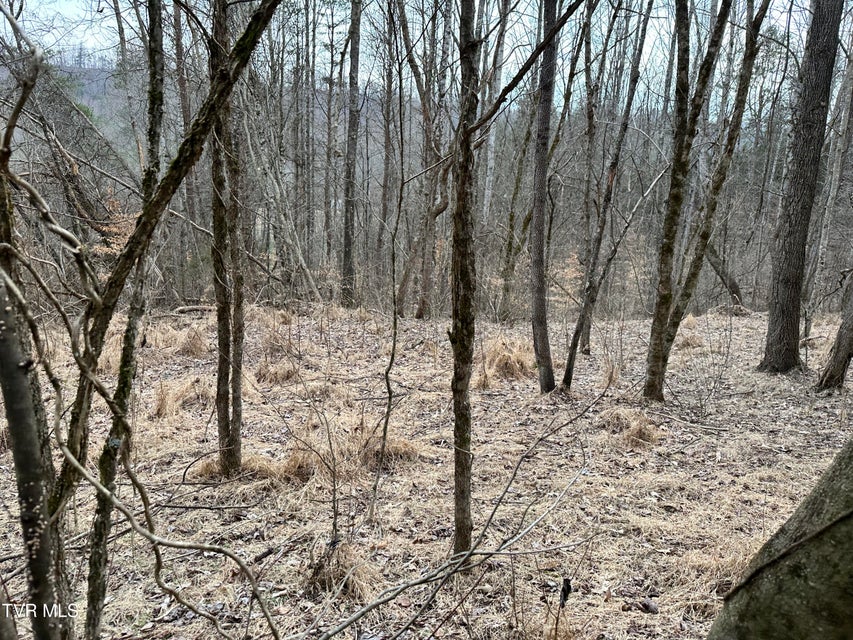 Photo #37: 702 Speedwell Road