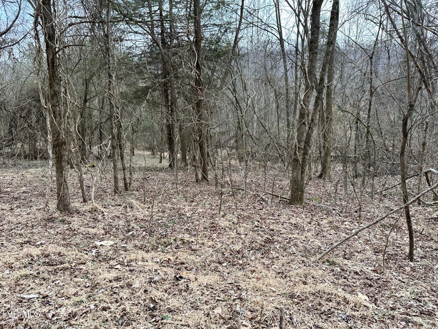 Photo #38: 702 Speedwell Road