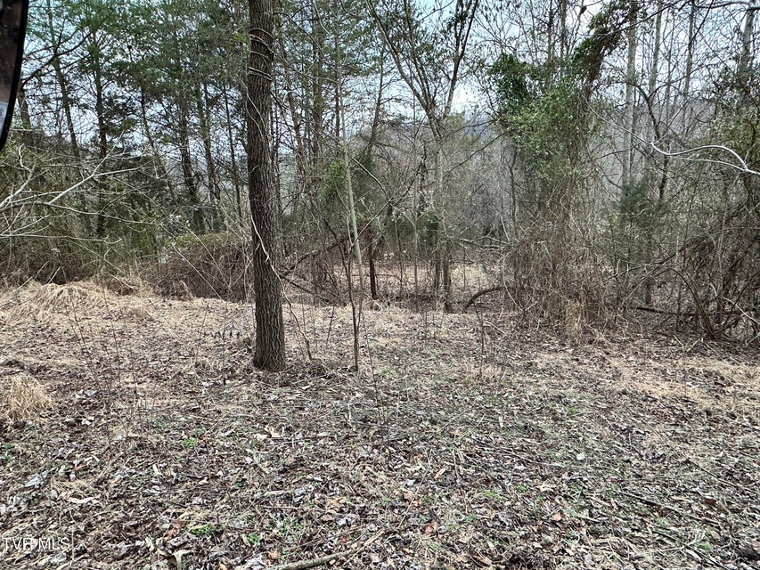 Photo #39: 702 Speedwell Road