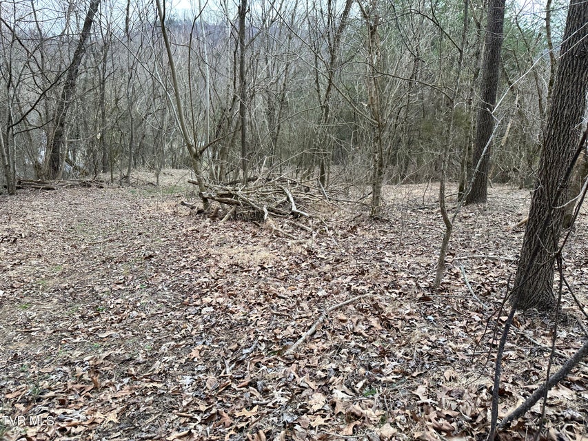 Photo #40: 702 Speedwell Road