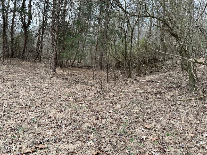 Photo #42: 702 Speedwell Road