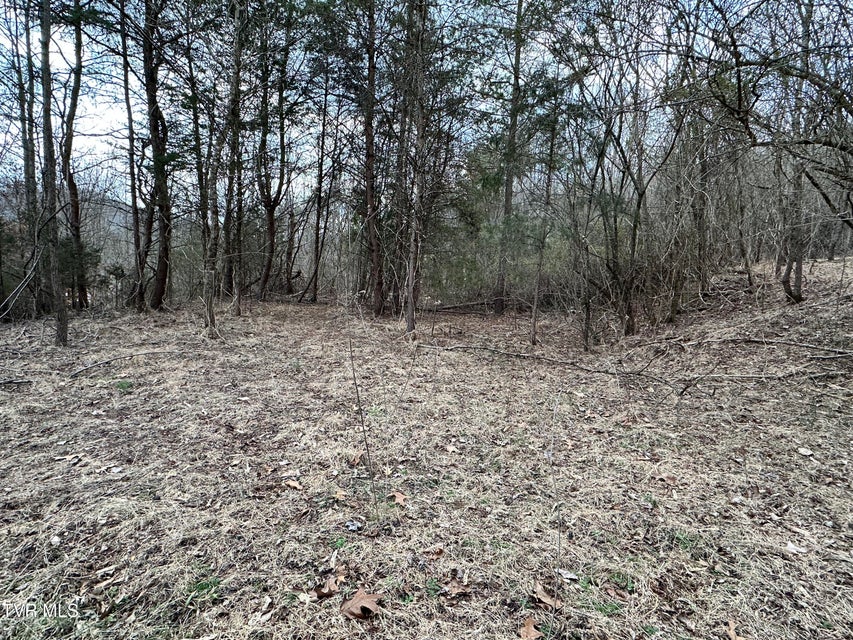 Photo #43: 702 Speedwell Road