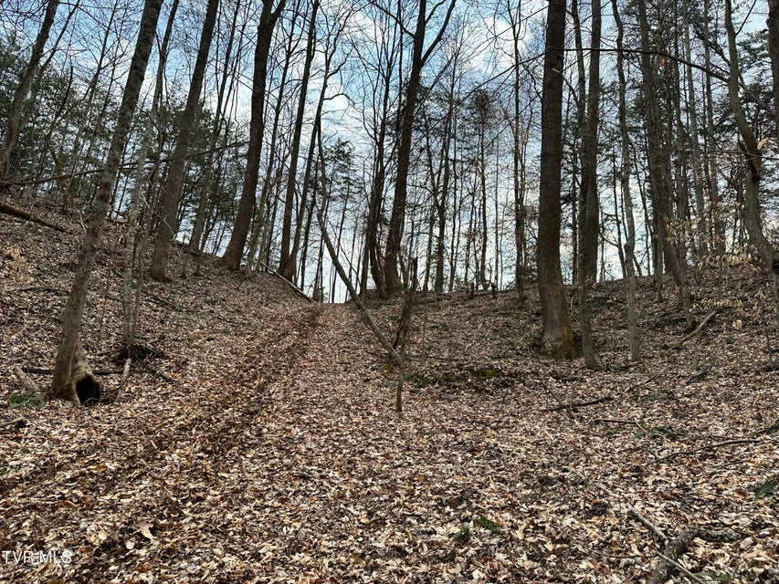 Photo #44: 702 Speedwell Road