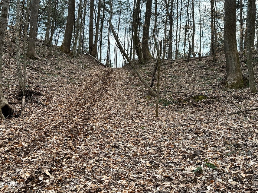 Photo #45: 702 Speedwell Road