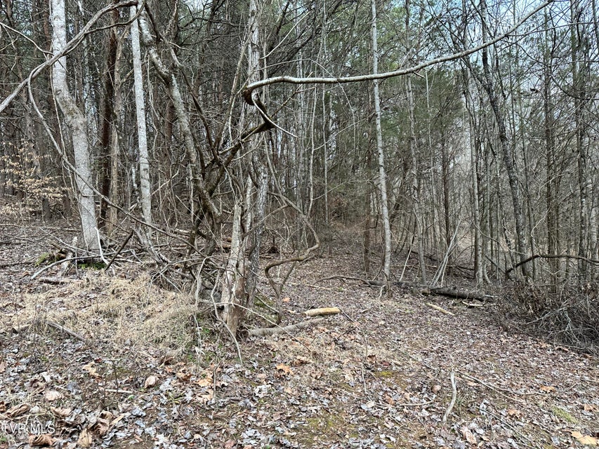 Photo #47: 702 Speedwell Road