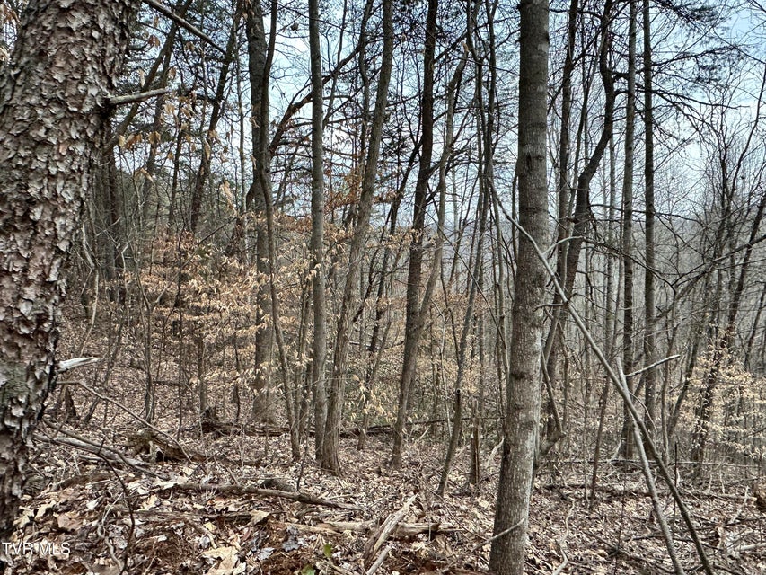 Photo #53: 702 Speedwell Road