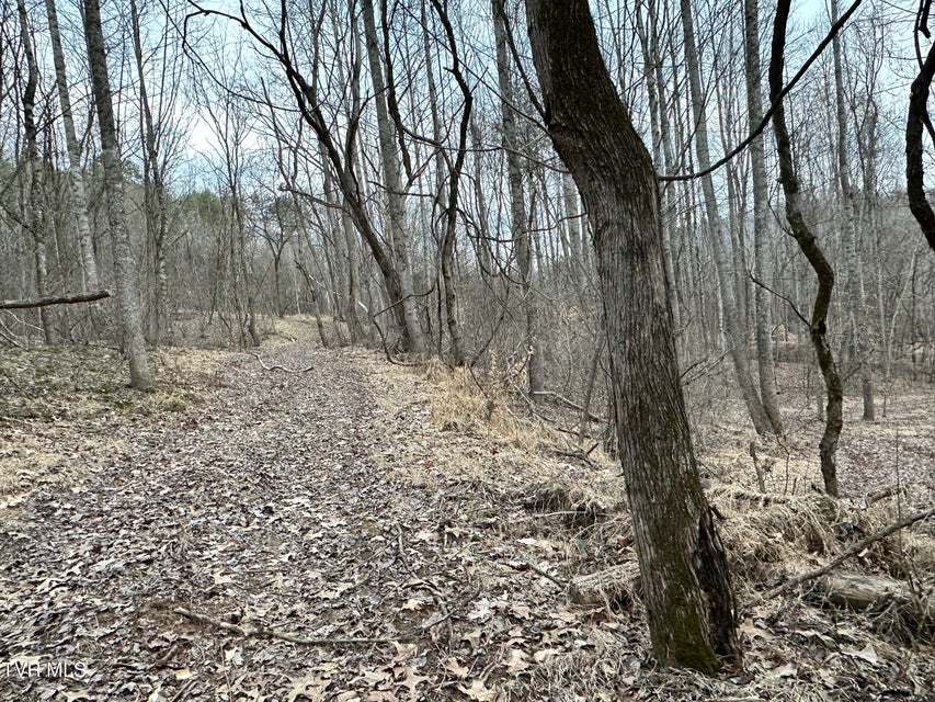 Photo #54: 702 Speedwell Road