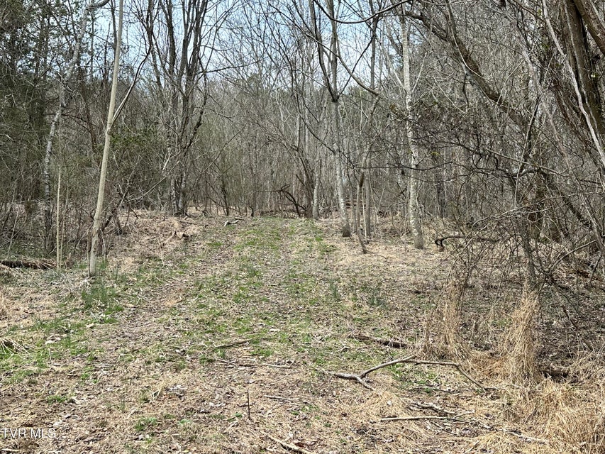 Photo #55: 702 Speedwell Road