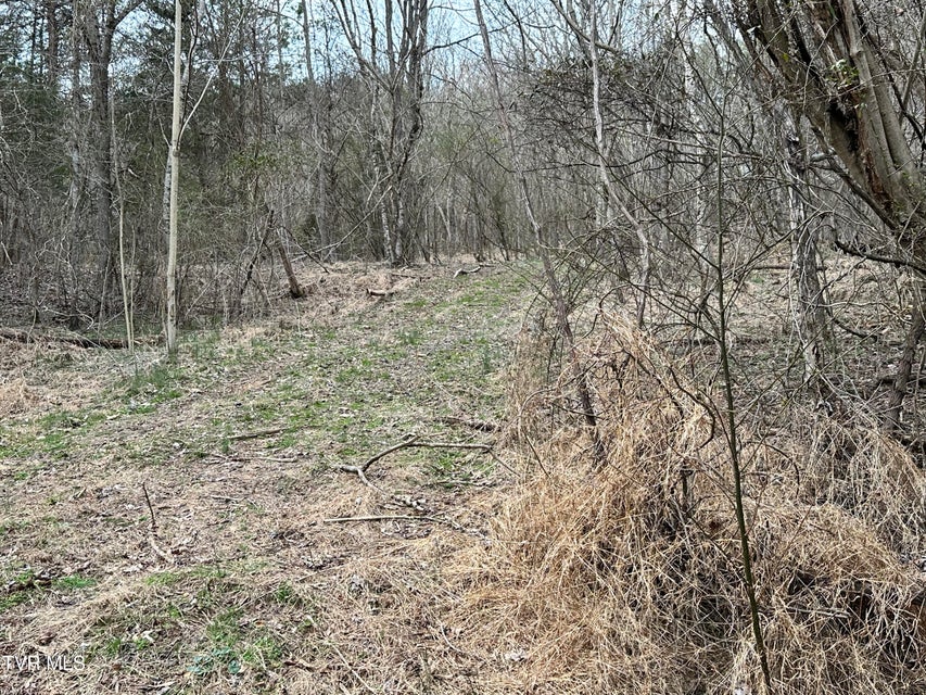 Photo #56: 702 Speedwell Road