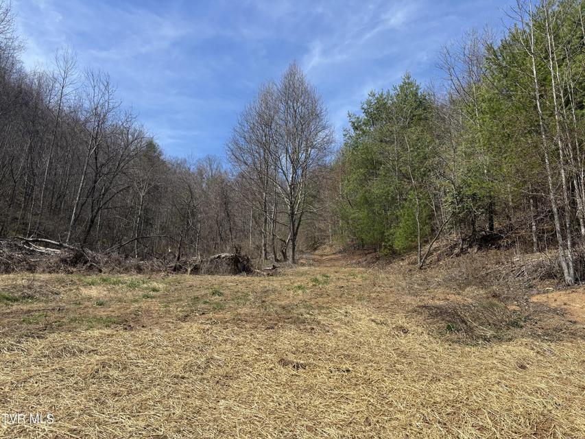 Photo #5: 202 Greer Branch Road