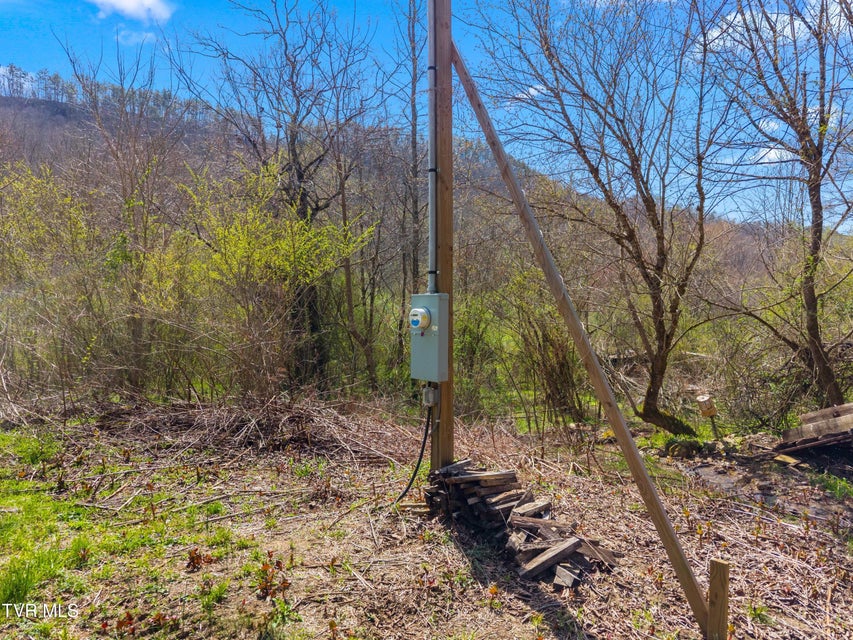 Photo #4: 290 Cave Springs Road