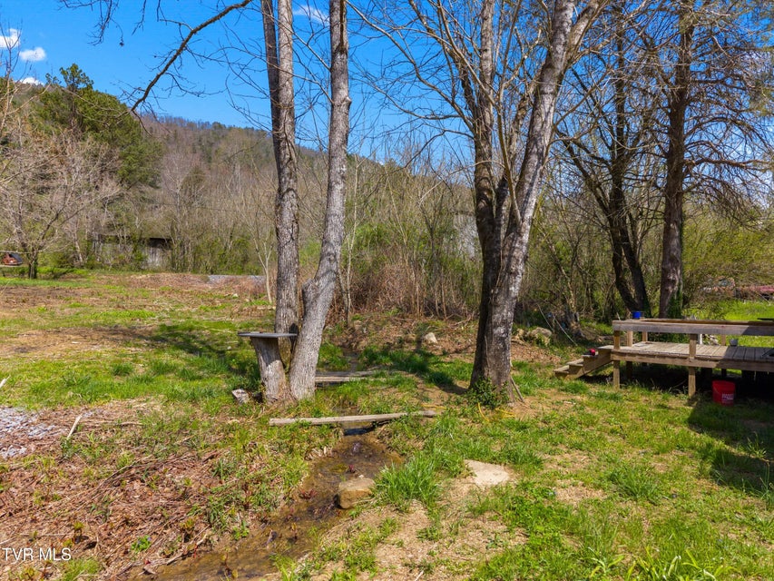 Photo #11: 290 Cave Springs Road