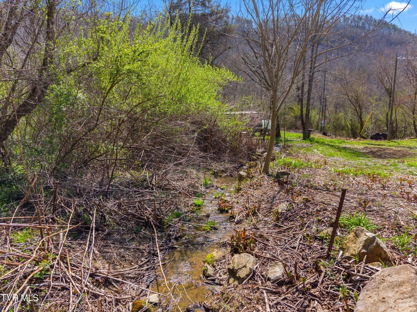 Photo #13: 290 Cave Springs Road