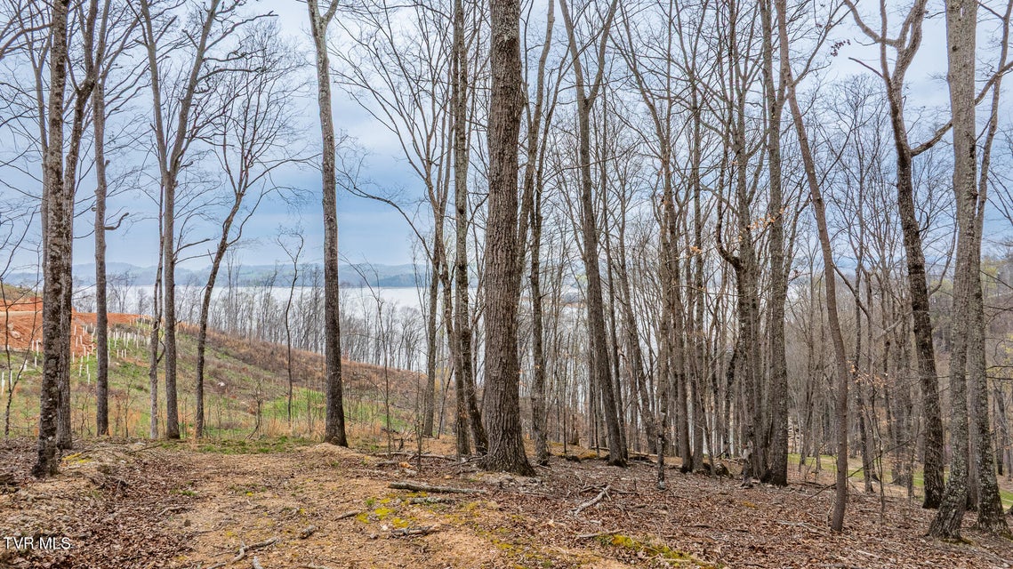 Photo #4: Lot 3 Lowe Drive