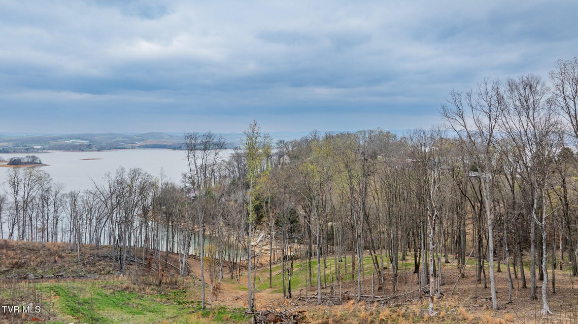 Photo #5: Lot 3 Lowe Drive