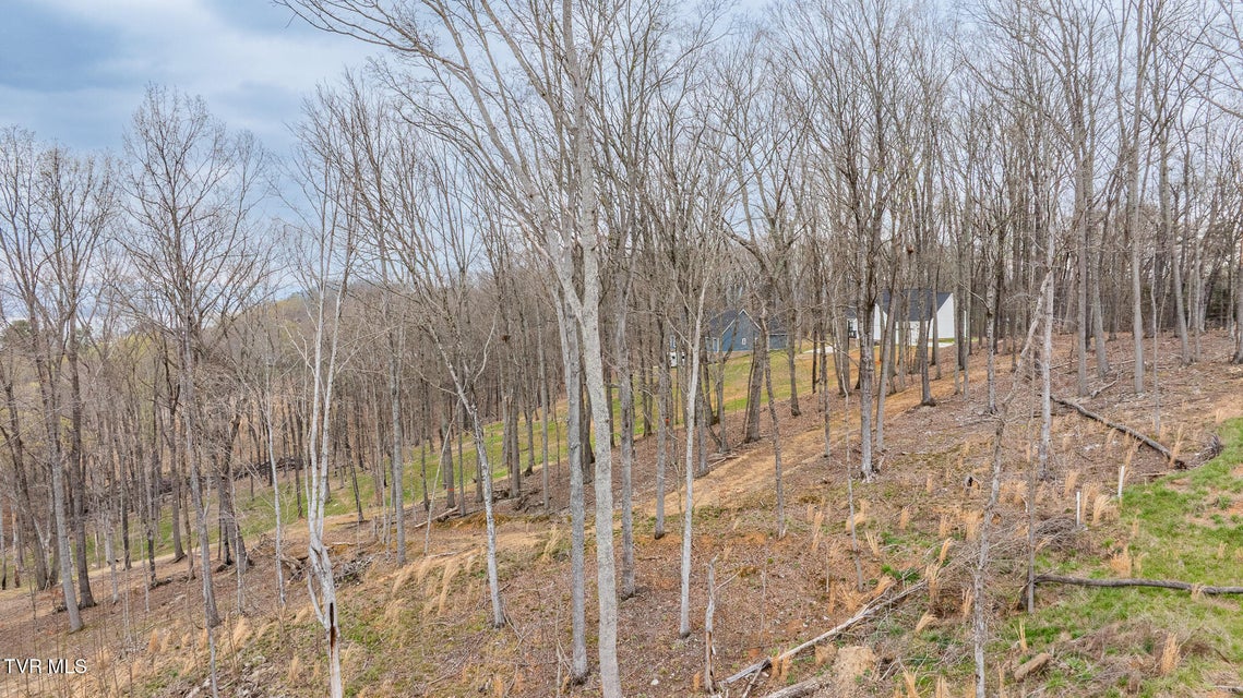 Photo #6: Lot 3 Lowe Drive