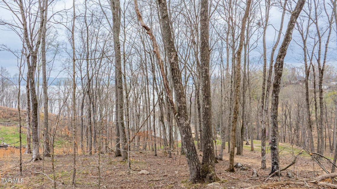 Photo #7: Lot 3 Lowe Drive