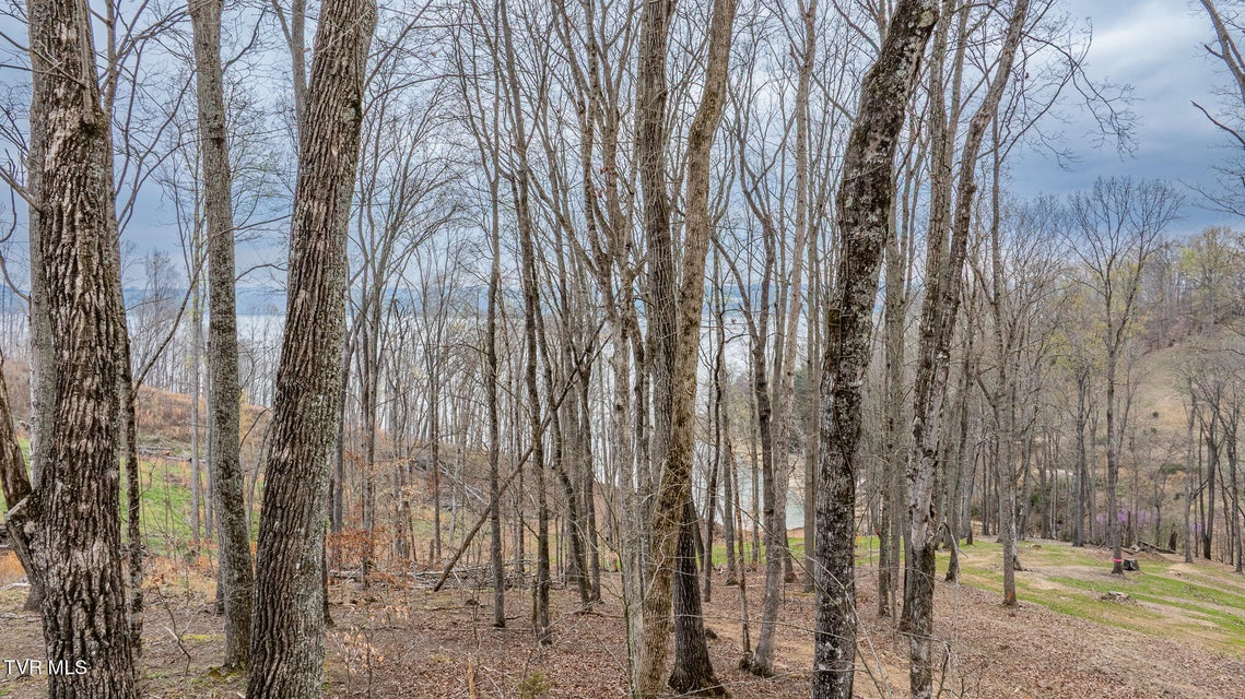 Photo #8: Lot 3 Lowe Drive