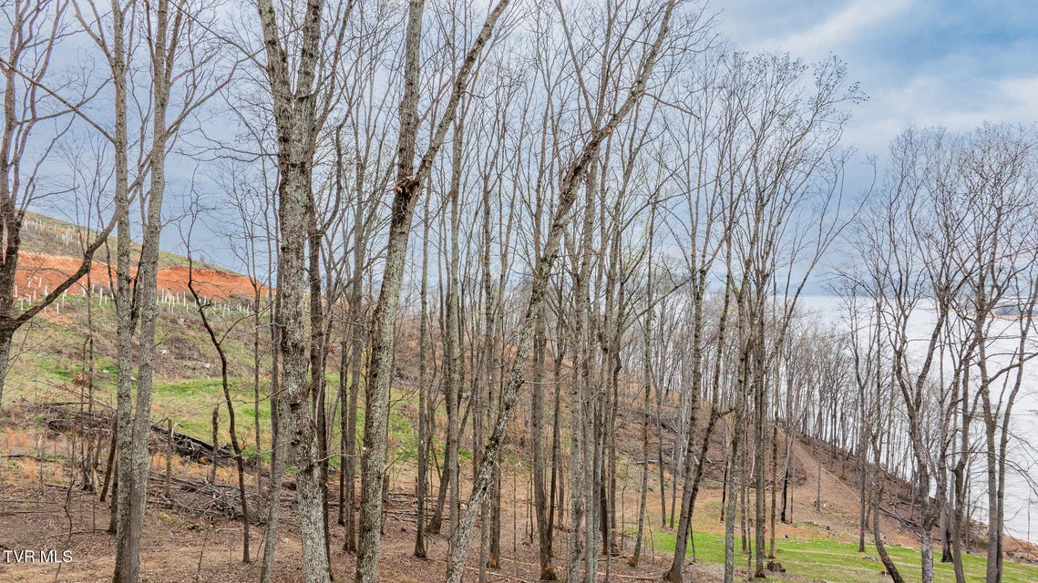 Photo #9: Lot 3 Lowe Drive