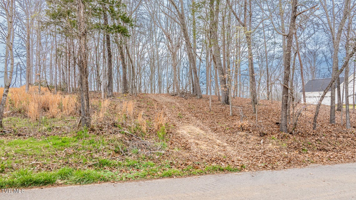 Photo #10: Lot 3 Lowe Drive