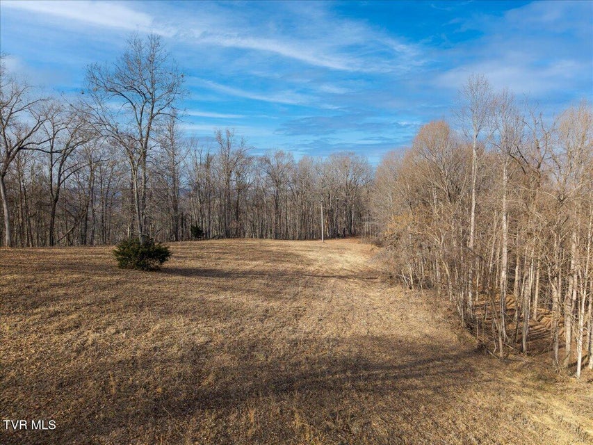 Photo #11: 185 Manning Road