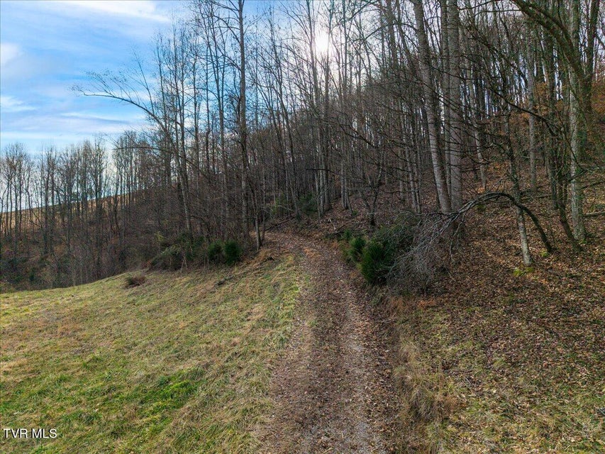 Photo #13: 185 Manning Road