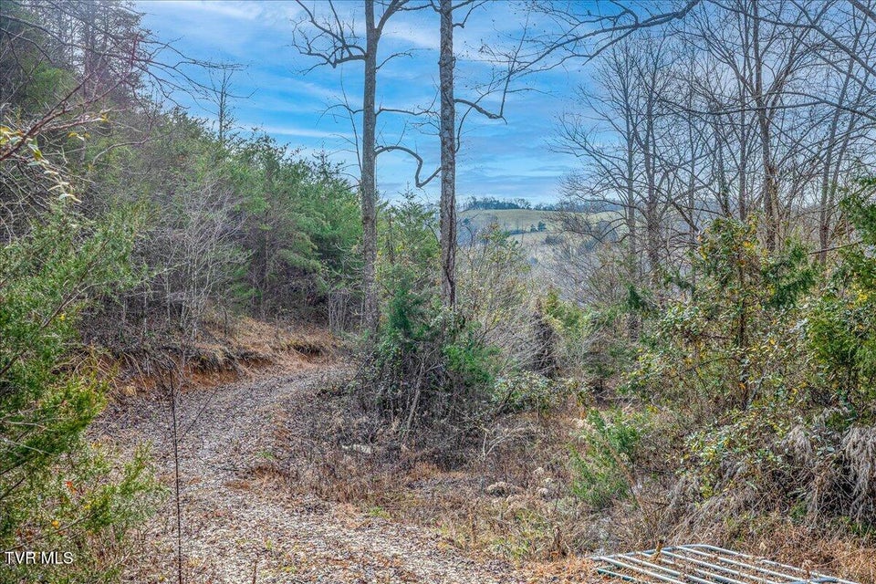 Photo #14: 185 Manning Road