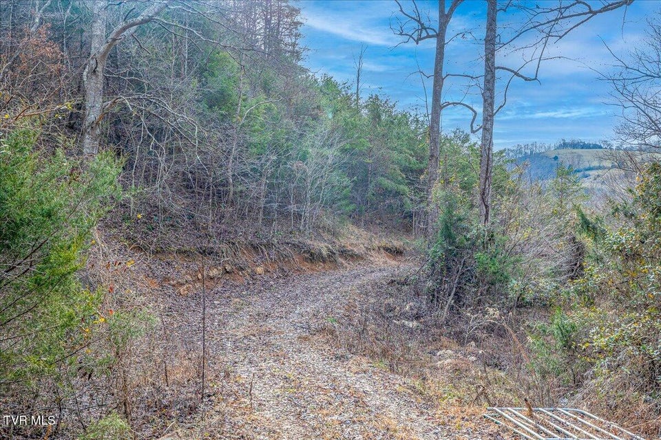 Photo #15: 185 Manning Road