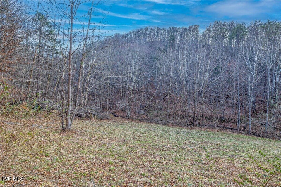 Photo #16: 185 Manning Road