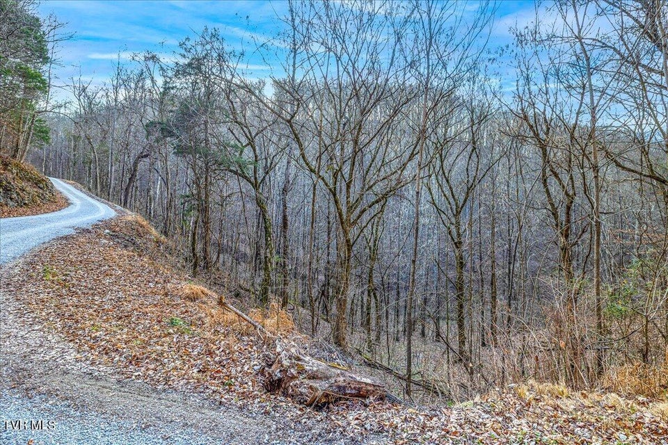 Photo #17: 185 Manning Road