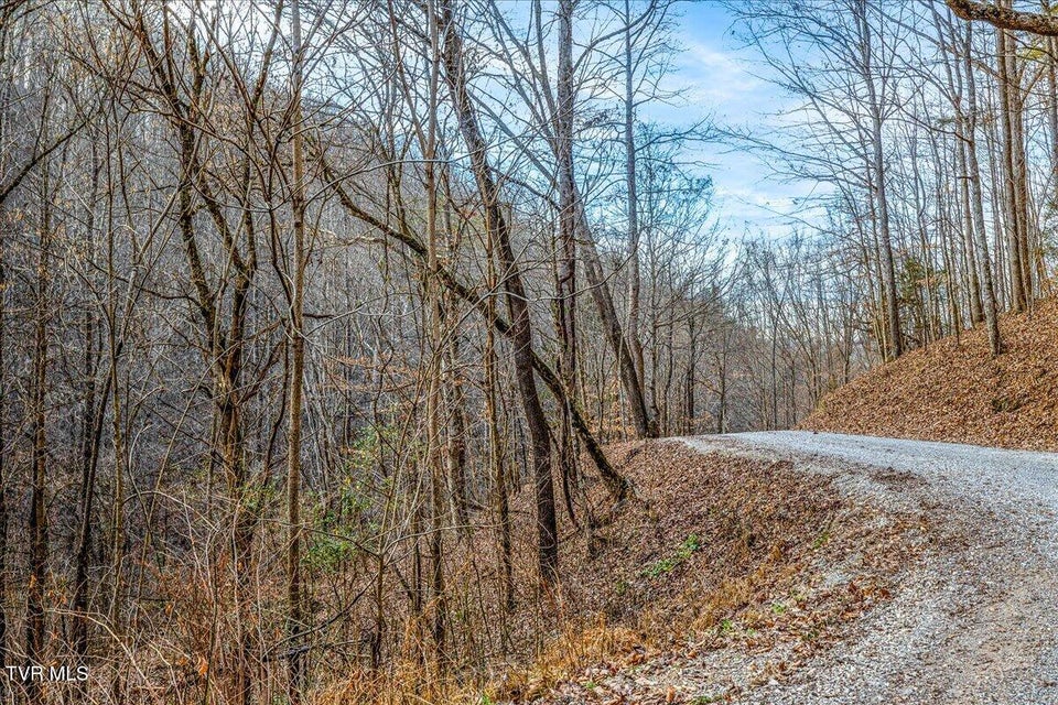 Photo #19: 185 Manning Road