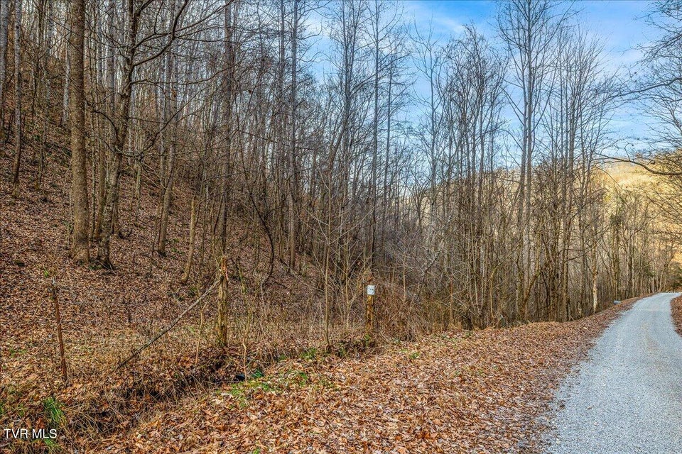 Photo #20: 185 Manning Road