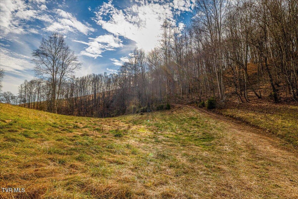 Photo #23: 185 Manning Road