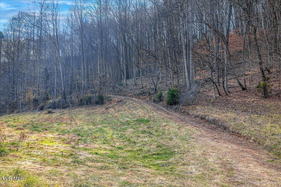 Photo #24: 185 Manning Road