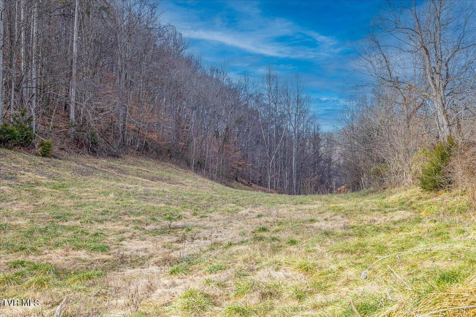 Photo #25: 185 Manning Road