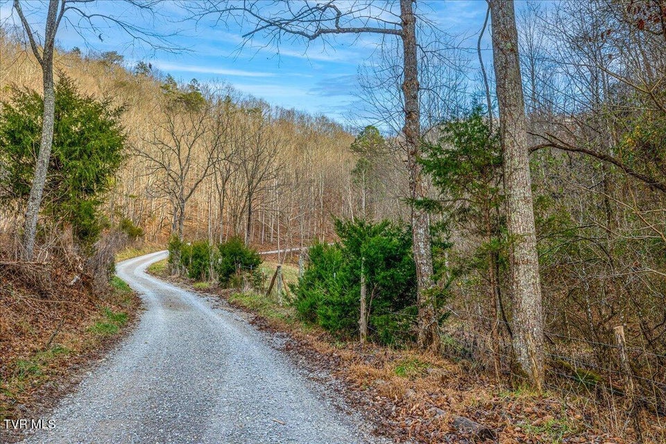 Photo #26: 185 Manning Road