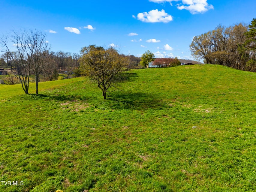 Photo #17: Lot 1 Fanny Collins Road