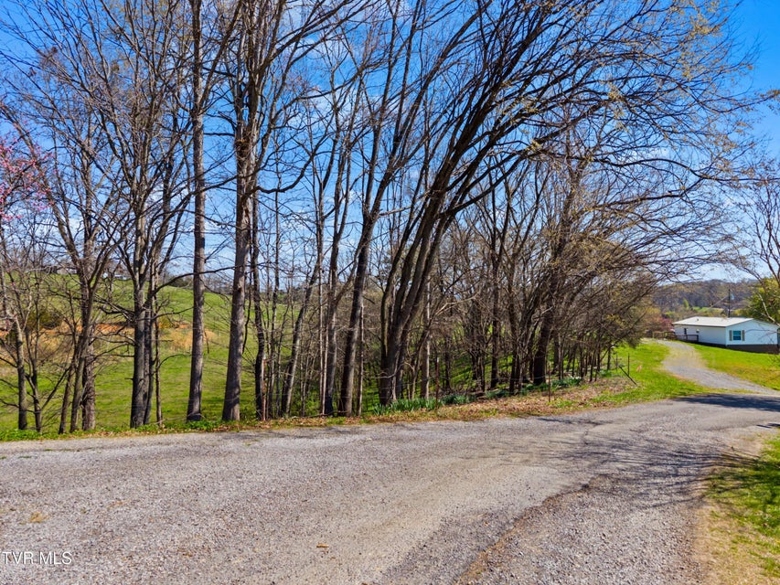 Photo #22: Lot 1 Fanny Collins Road