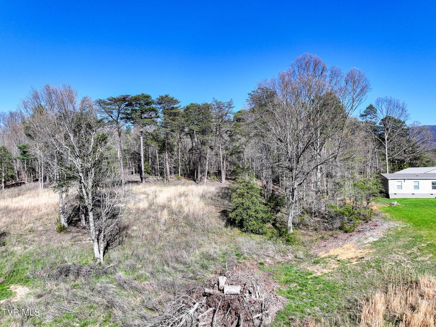 Photo #11: Lot 4 Piney Grove Road