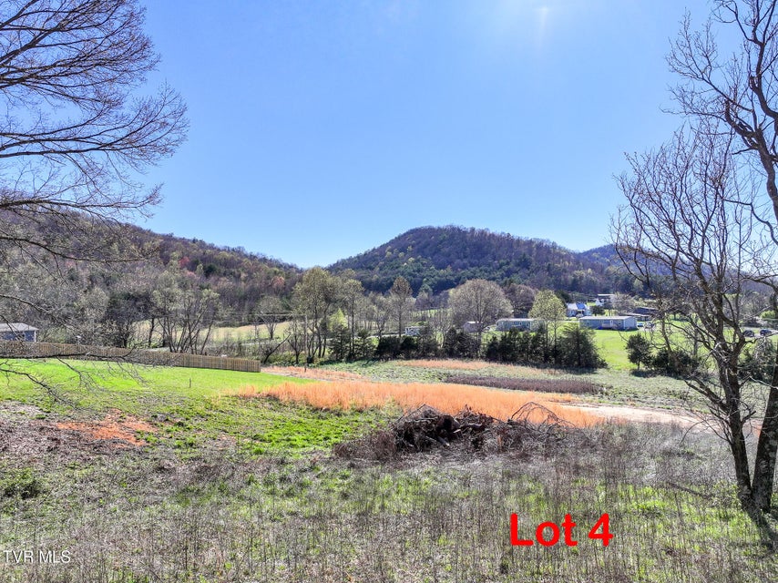 Photo #12: Lot 4 Piney Grove Road