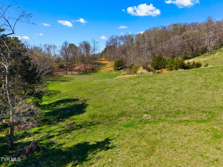 Photo #25: Lot 2 Fanny Collins Road