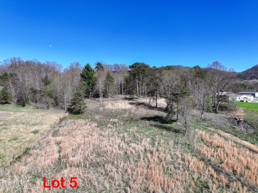 Photo #8: Lot 5 Piney Grove 