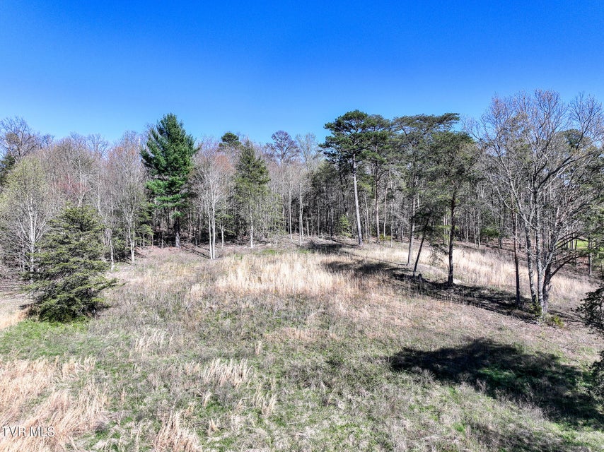 Photo #9: Lot 5 Piney Grove 