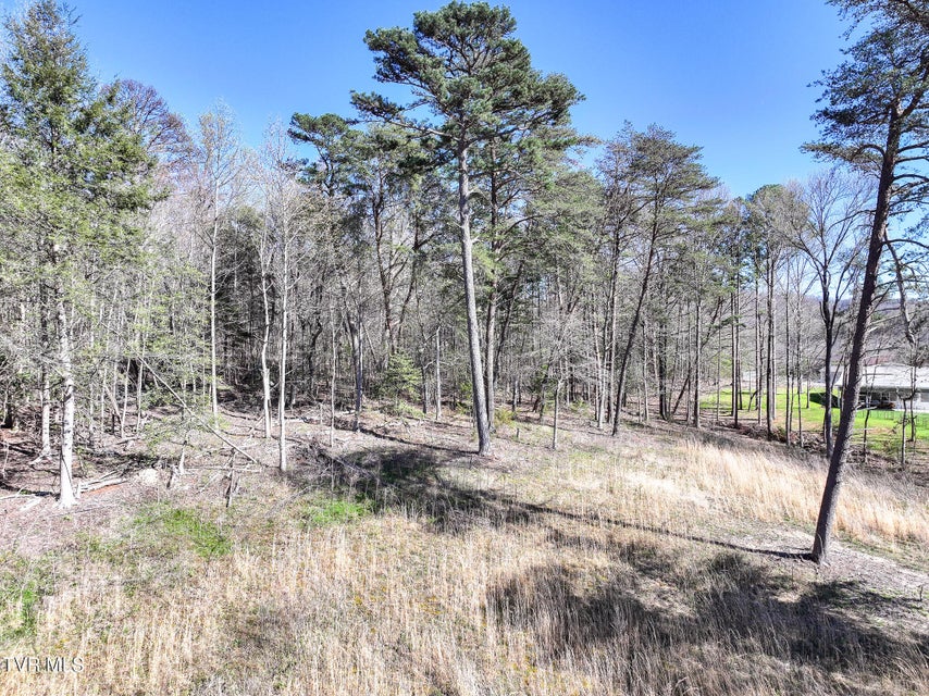 Photo #10: Lot 5 Piney Grove 