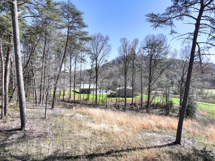 Photo #11: Lot 5 Piney Grove 