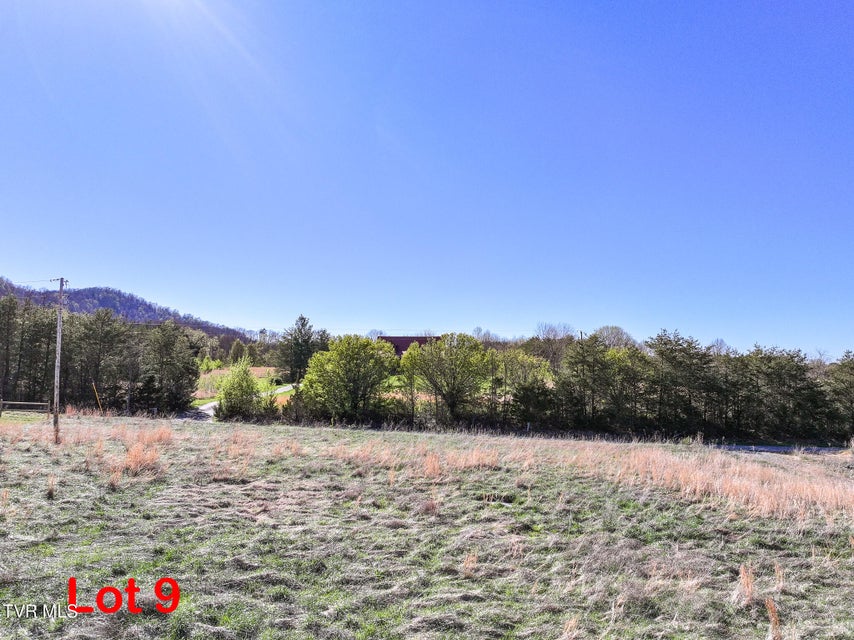Photo #7: Lot 9 Piney Grove Road