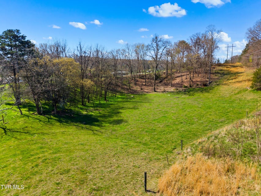 Photo #27: Lot 3 Fanny Collins Road