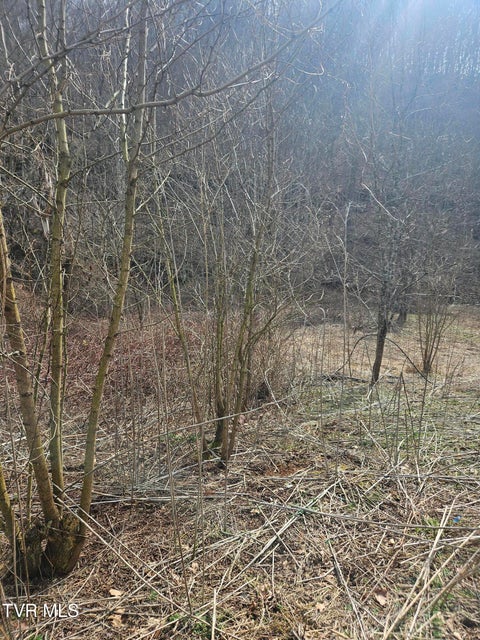 Photo #12: 792 Adria Road