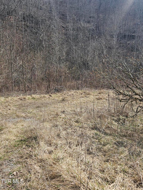 Photo #11: 792 Adria Road