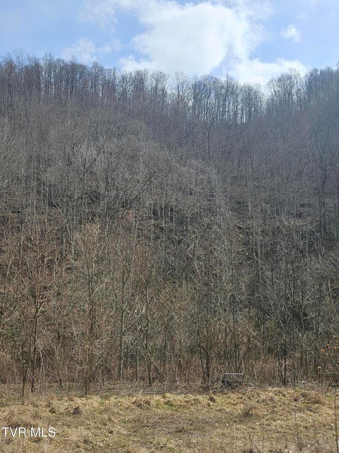 Photo #9: 792 Adria Road